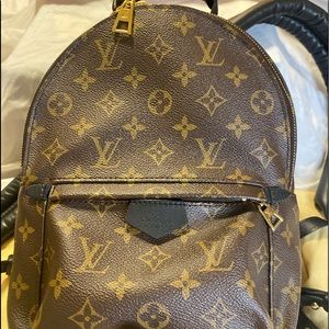 Louis Vuitton Monogram Palm Springs PM Brown Cloth ref.935653